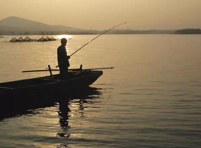 一个钓鱼人讲述 钓鱼的人为何都不长寿
