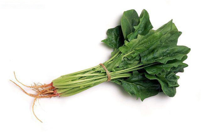 菠菜根
