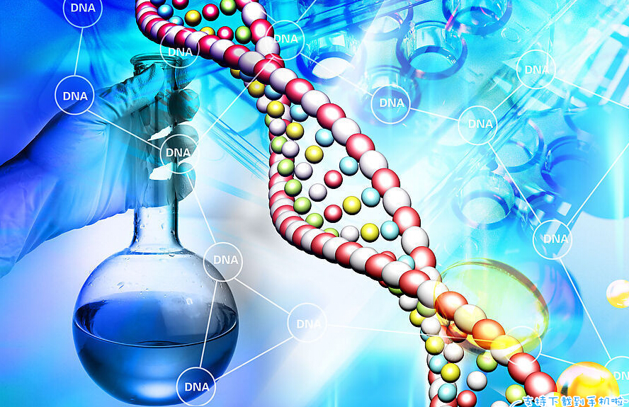 据中新网等媒体报道,日本东京大学教授中内启光等人进行的ips细胞