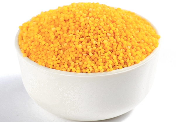 小米这样吃,比你吃燕窝鱼翅还养颜!(内附食谱噢!